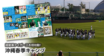 超変革タイガース本格始動！
沖縄春季キャンプ